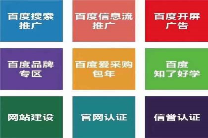 竞价SEM与社交媒体结合的营销案例研究